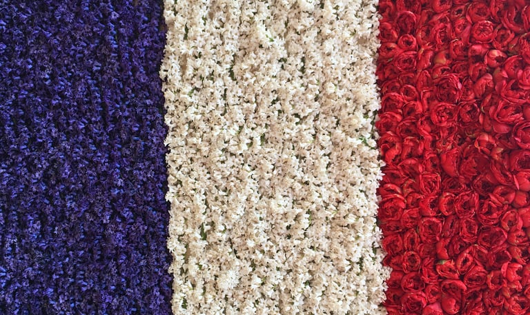 Red, white, and blue flower background.