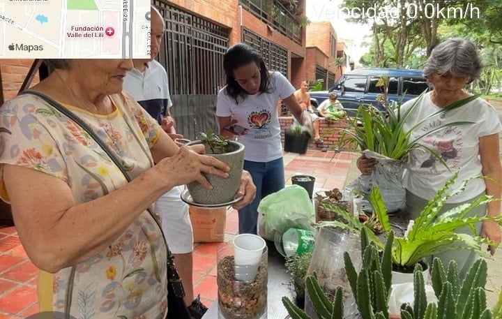 Actividad ambiental de siembra y mantenimiento de plantas sanas para mejorar la calidad del aire.