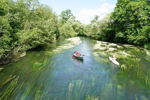 1 Barque et 1 canoë sur une rivière presque recouverte de plantes vertes et bordée par une forêt