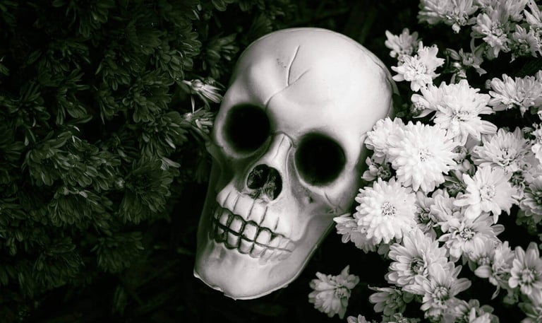 a skull head with a skull face mask