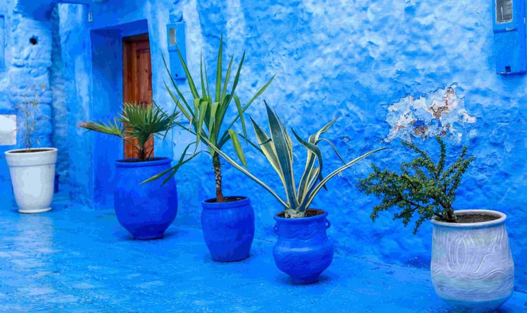 chefchaouen the blue city morocco wonders trip