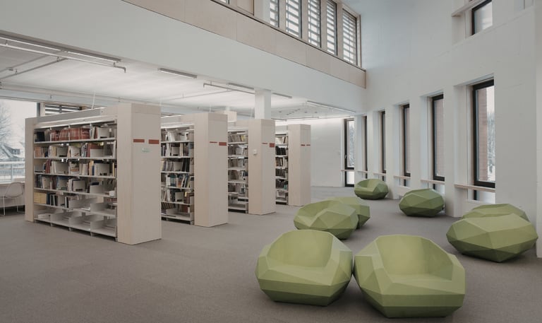 Library reading space in natural light, shows books for educators and librarians.
