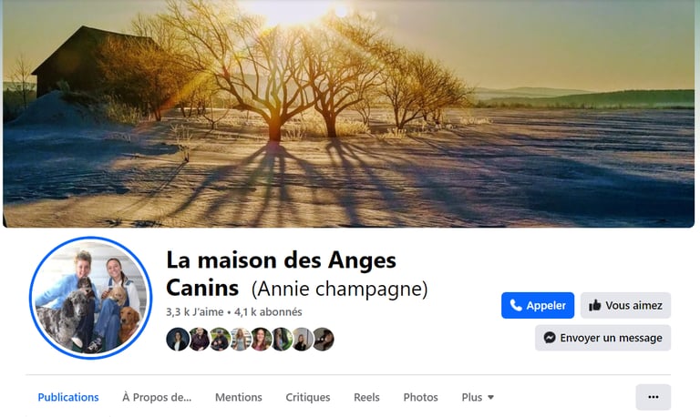 Facebook de La maison des anges canins, éleveur de chien. Chien a vendre