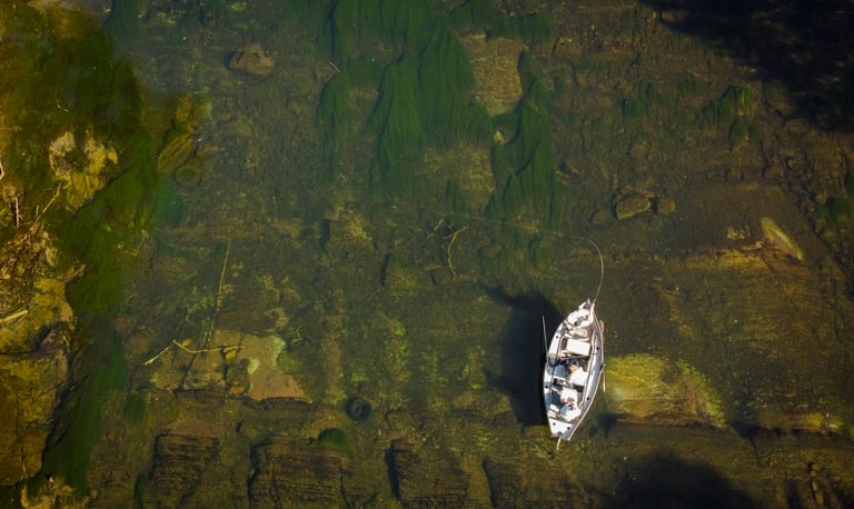 Long light leaders are key for August fly fishing in Tennessee.