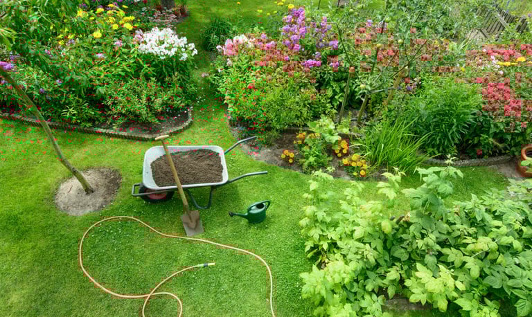 Colorful perennial garden restoration with native and hardy plants suited for zone-6 WNY.