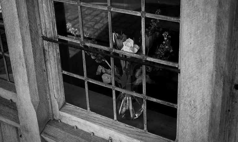 A picture of a white flower standing on the windowsill. Creator: Slawek Dejneka