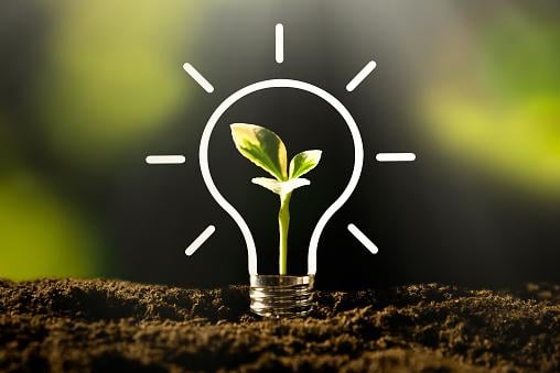 Marketing Verde e Selo Verde