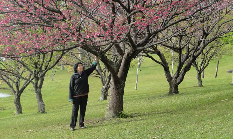 Mulheres no Campo