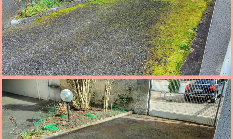Parking nettoyé et démoussé