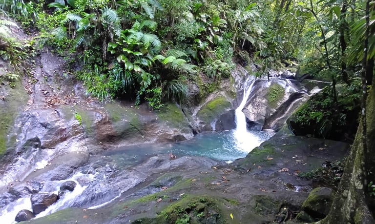 akwaform voyage france guadeloupe