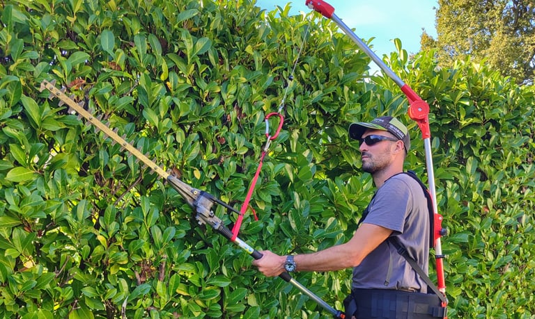 Taille de haie par un jardinier