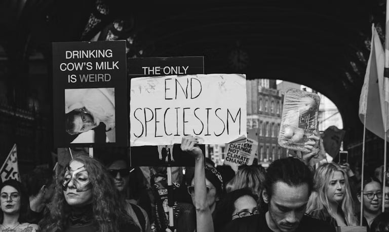 immagine bianco nero di attivisti per i diritti animali che sventolano slogan per la fine dello spec