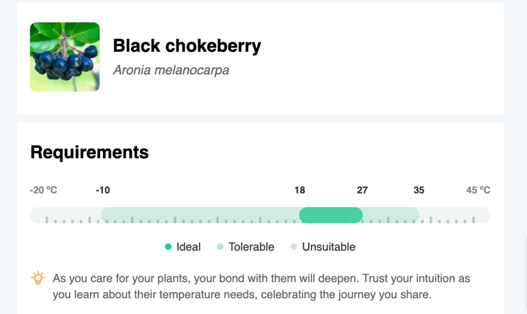 Choosing the Right Berries for Your Perennial Garden