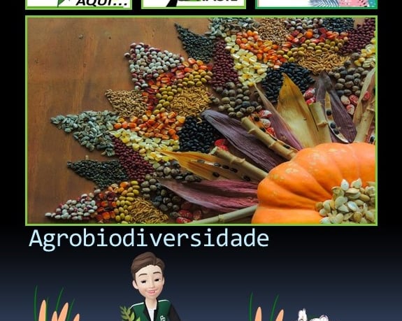Agrobiodiversidade