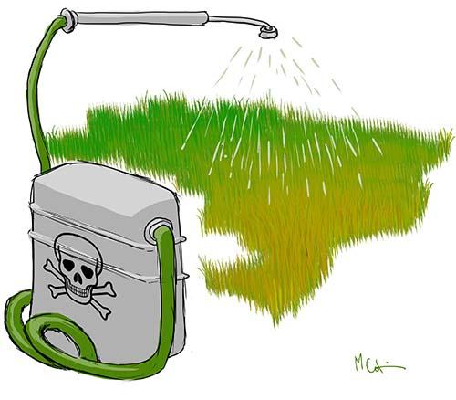 Agrotóxicos no Brasil