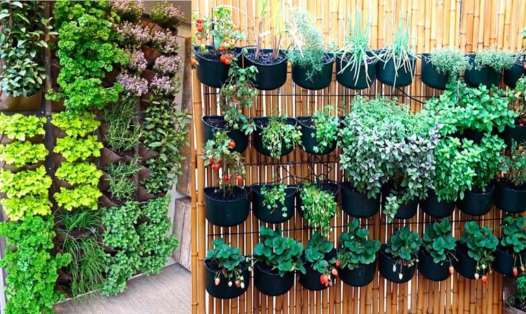 Hortas e Jardins Suspensos