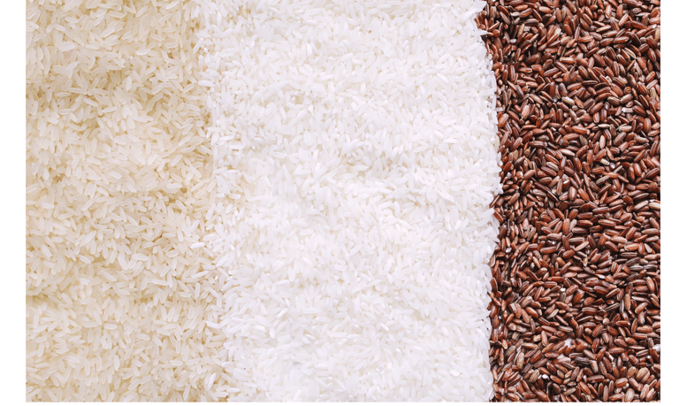 rice brans and rice are shown in three different colors