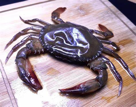 Fresh soft-shell crab placed on a wooden cutting board, ready for cooking.