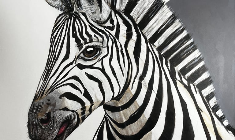 Zebre