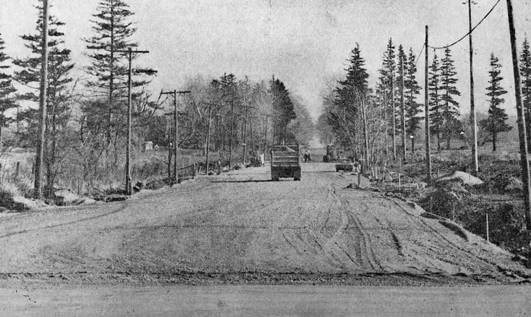 Lynden Road reconstruction