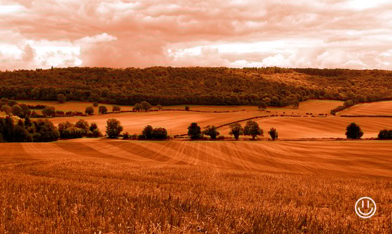 paysage écologique, éthique