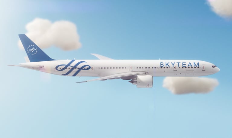 Skyteam 01