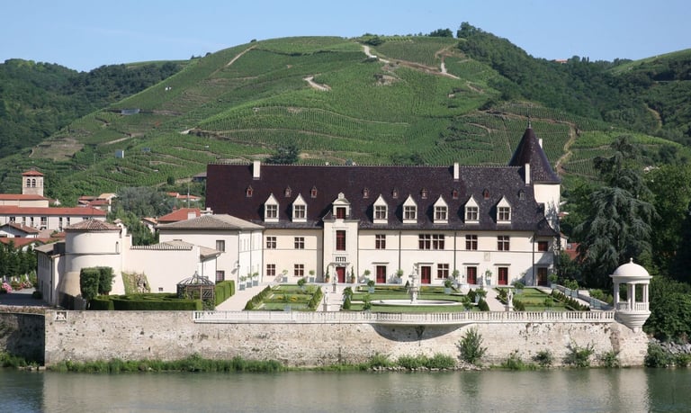 A picture of Guigal in the Rhône Valley, an example of a brand that I have worked with