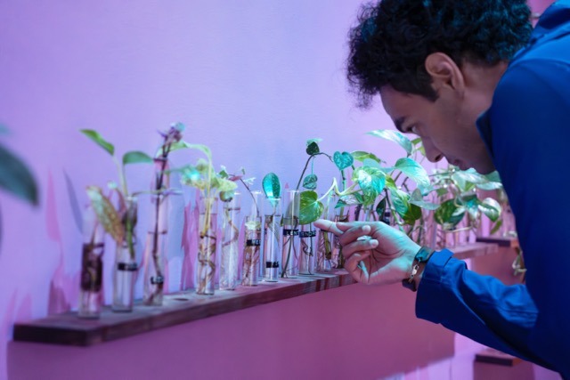 A man reads poetry on propagation tubes with different plants growing in them.