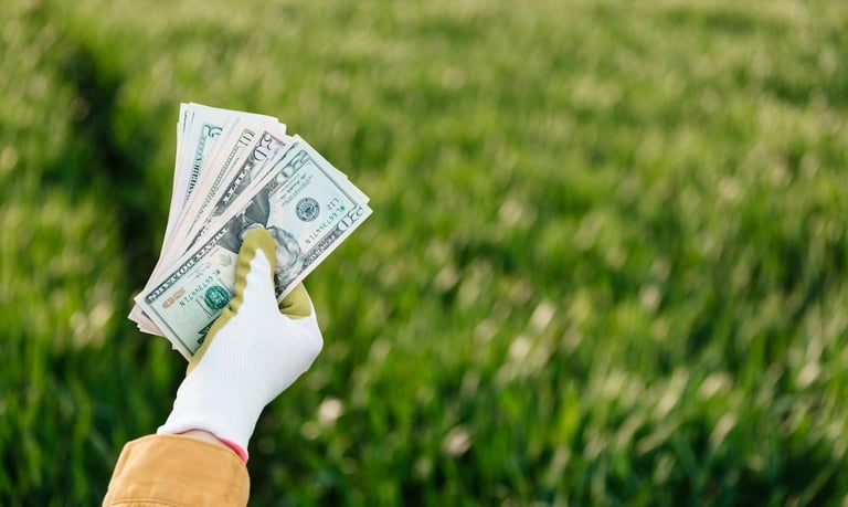 Passive income for life - a person holding a bunch of money bills