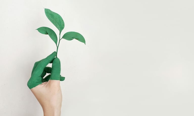 Personal Growth - a person's hand holding a plant with green leaves