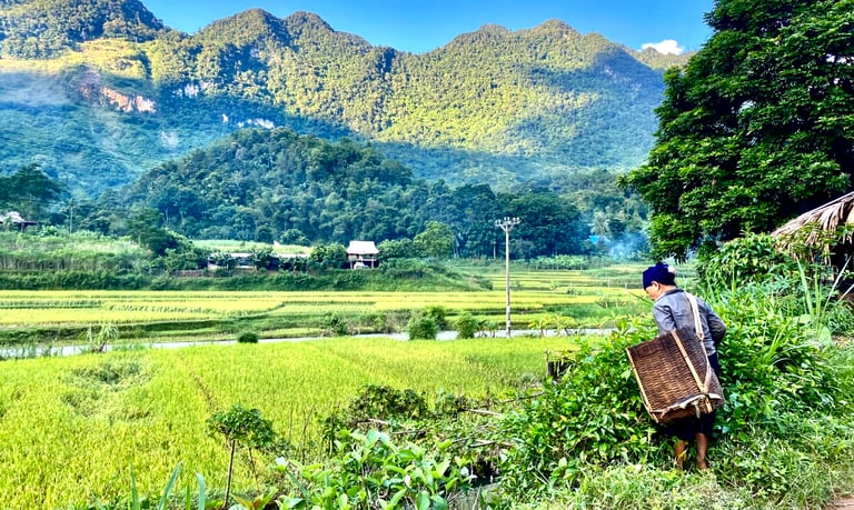 Vietnam people