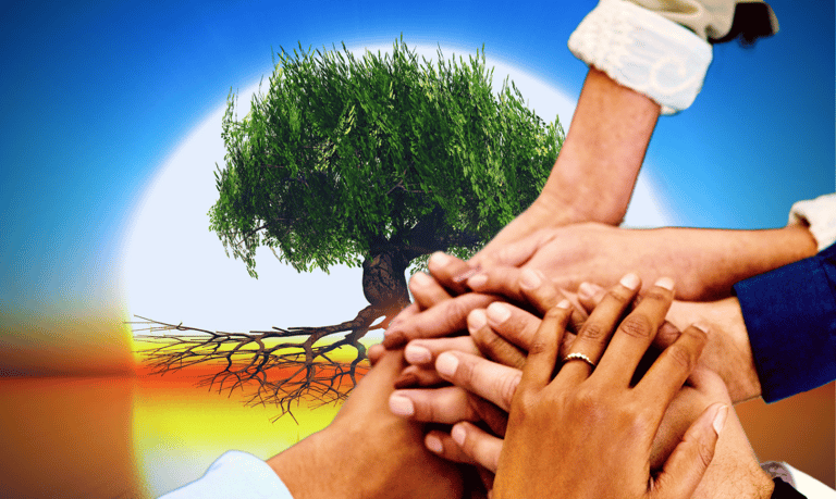 Mãos dadas e a árvore frondosa com raízes expostas com sol são as instituições positivas