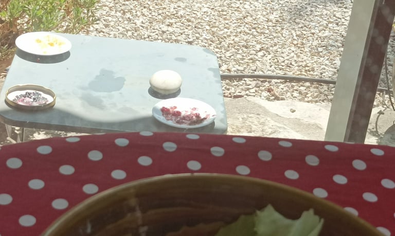 Wasps welcome!