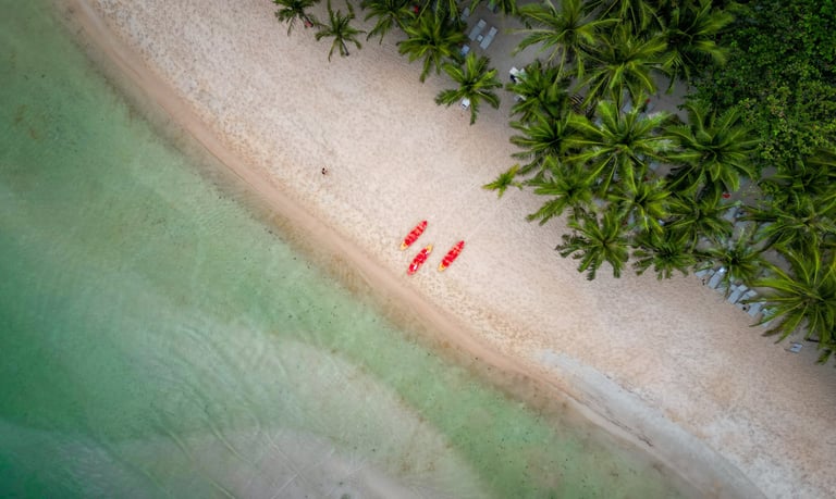 two people are walking on the beach near palm trees