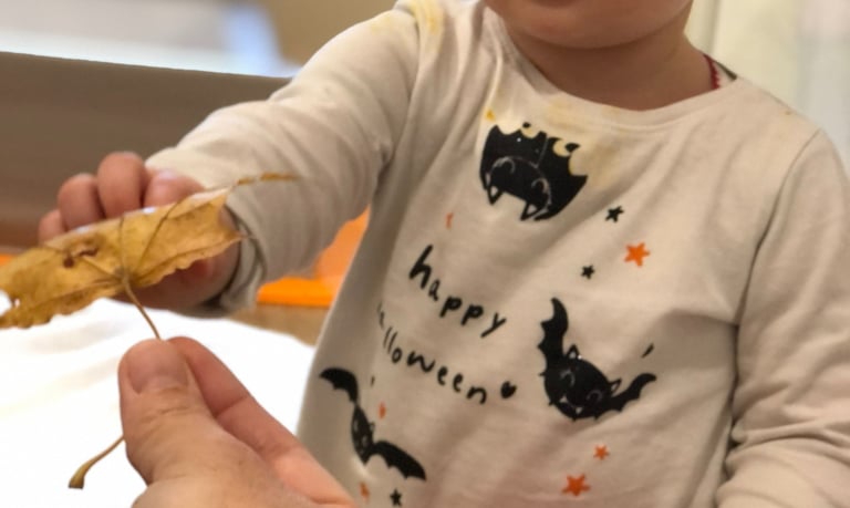 enfant qui prend une feuille