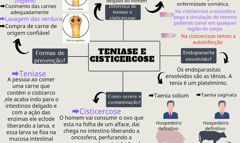 Ciclo teníase e Cisticercose