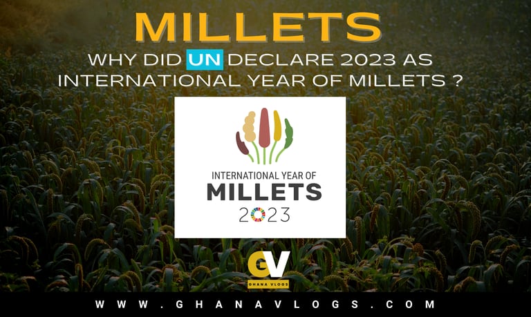 https://ghanavlogs.com/why-did-un-declare-2023-as-international-year-of-millets-