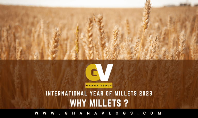 What is Millets?