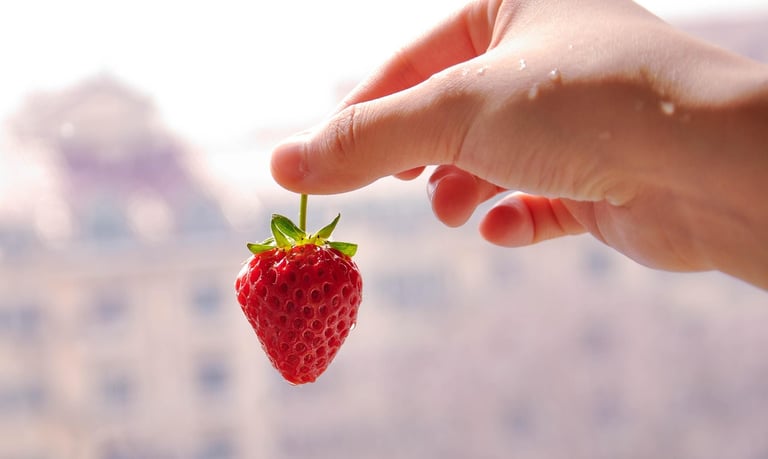morango-do-amor-vendas-agro