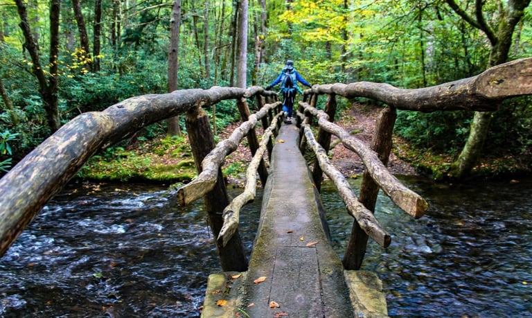 a person hiking over a wooden bridge in the woods