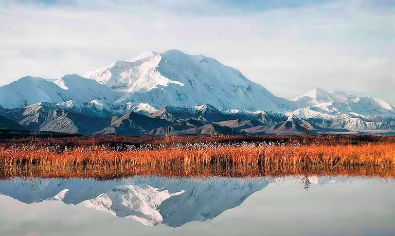 Denali National Park Preserve