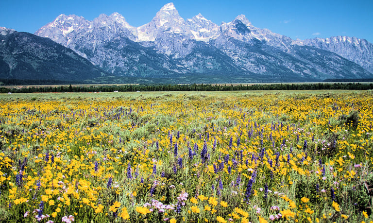 Grand Teton National Park