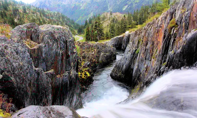 Olympic National Park