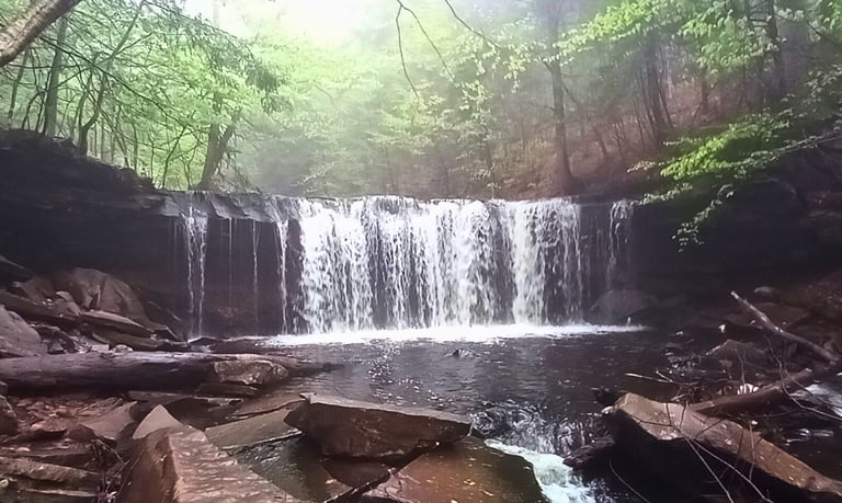 a waterfall in the woods