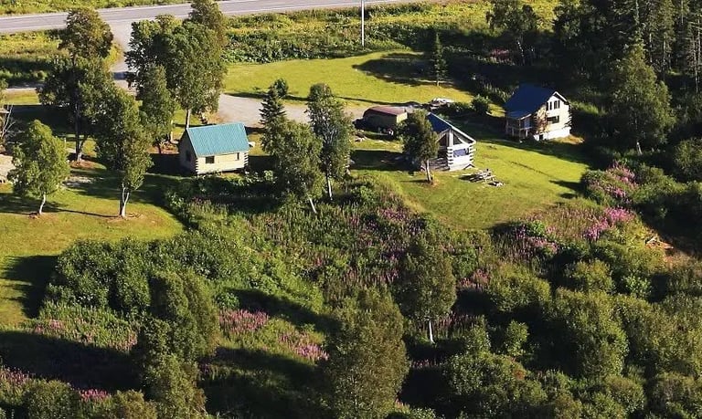 Cook Inlet Cabins Arial View