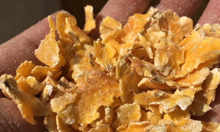Corn Flaking feed