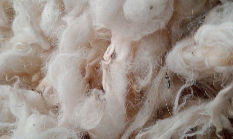 finest quality Tibetan wool - himalayacarpetnepal.com