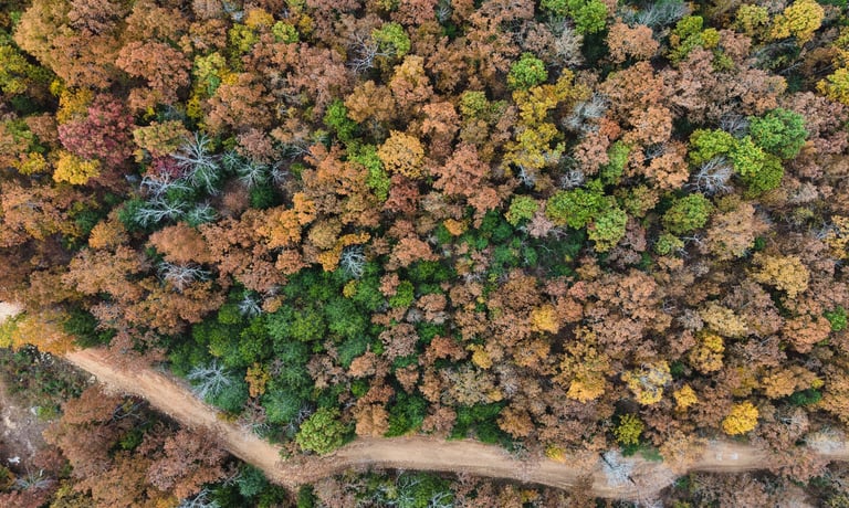 Fall time in a rural area. 