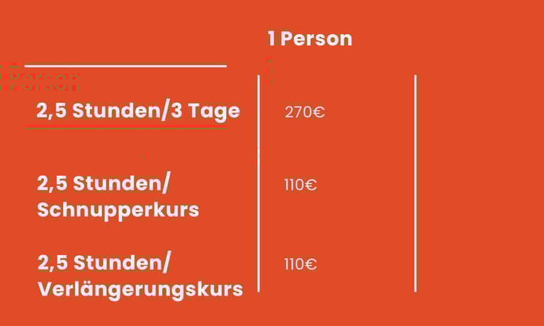 snowboardkurs preise Katzenkopf