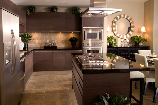 Lavish Kitchen Design